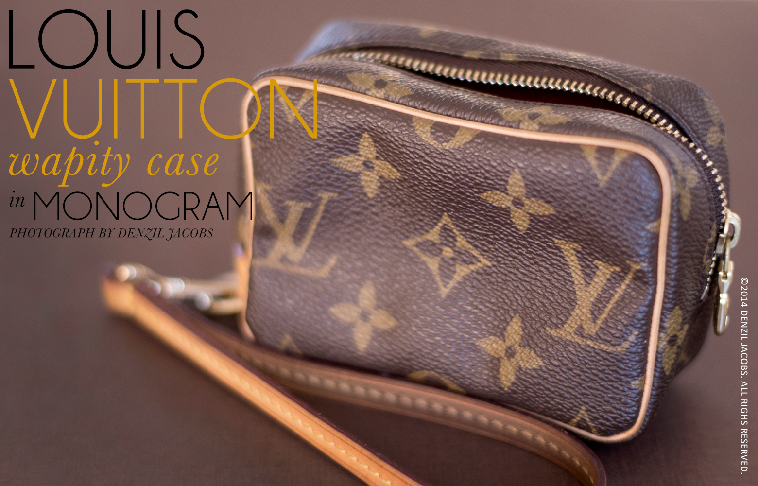 Louis Vuitton Monogram Wapity Case